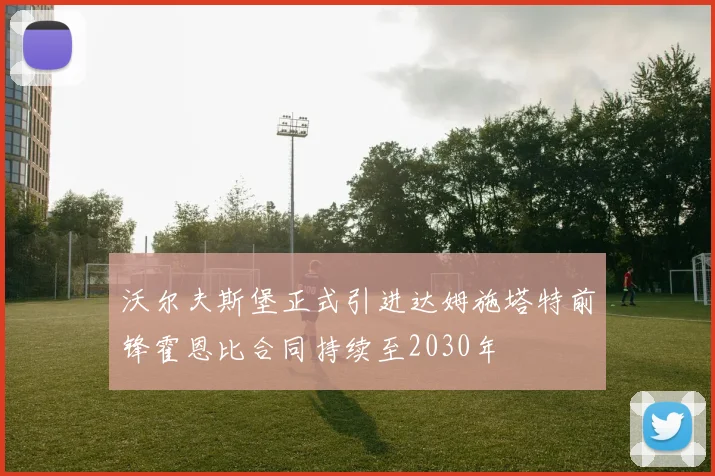沃尔夫斯堡正式引进达姆施塔特前锋霍恩比合同持续至2030年